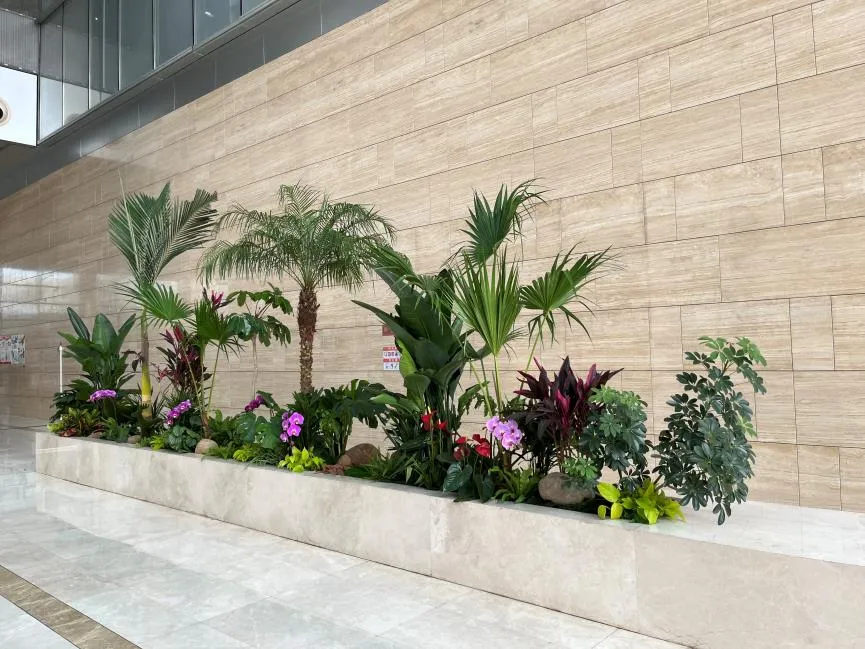 奉化花卉租赁专业